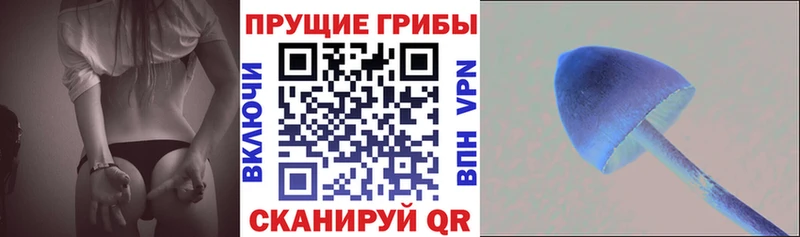 Купить закладки  Симферополь  Галлюциногенные грибы GOLDEN TEACHER 